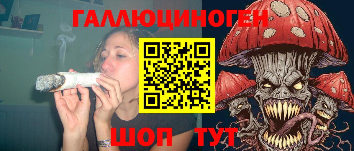 что такое   Галлюциногенные грибы прущие грибы  Вход с VPN  Фурманов 